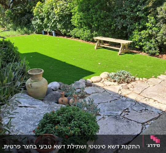 עציצים ושתילים על שביל אבן בגינה